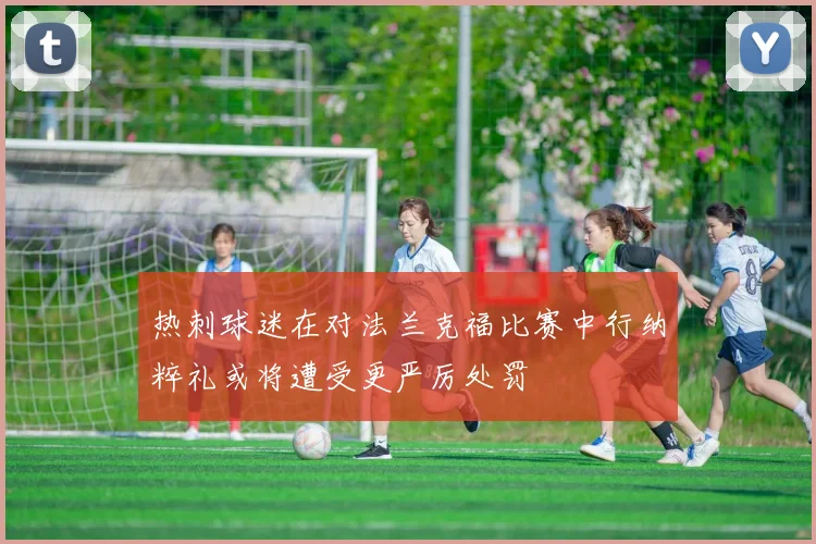 热刺球迷在对法兰克福比赛中行纳粹礼或将遭受更严厉处罚