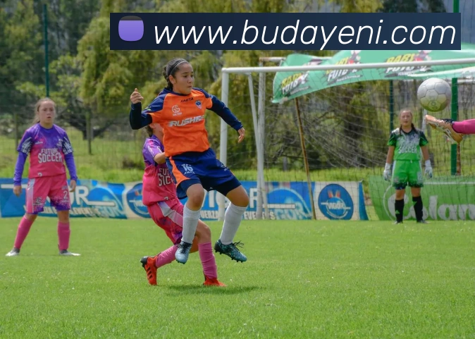 华体会押注平台生态图