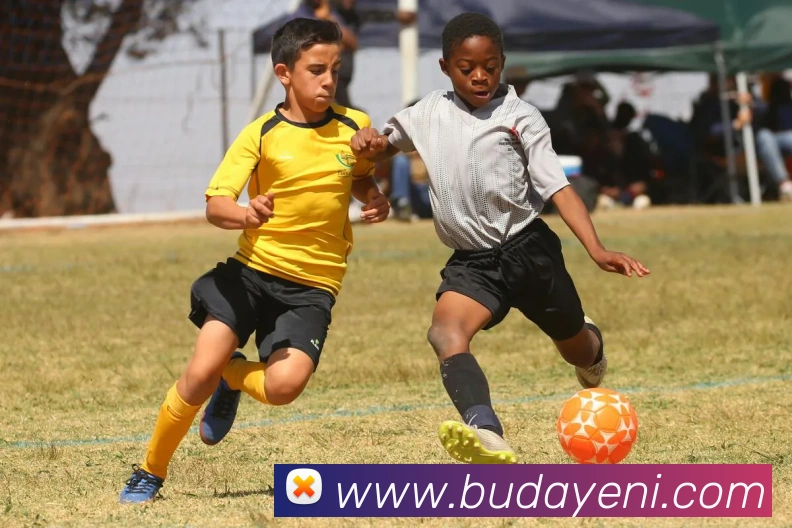 华体会押注APP 封面图